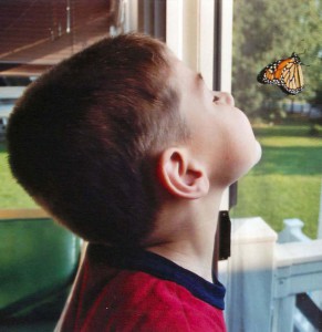 Sean Butterfly Fundraiser Magnet